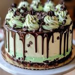 Mint Chocolate Chip Cheesecake Drip Cake